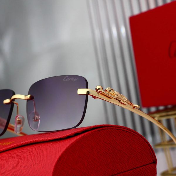 Golden Leopard Frame Sunglasses - 图片 11