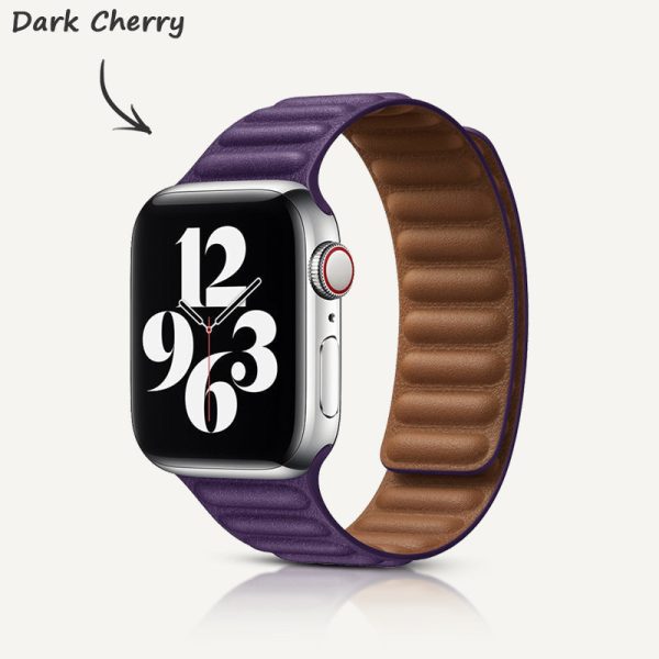 Leather Link Magnetic Strap - 图片 37
