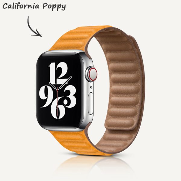 Leather Link Magnetic Strap - 图片 44