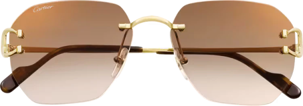 SIGNATURE C DE ca SUNGLASSES - 图片 2
