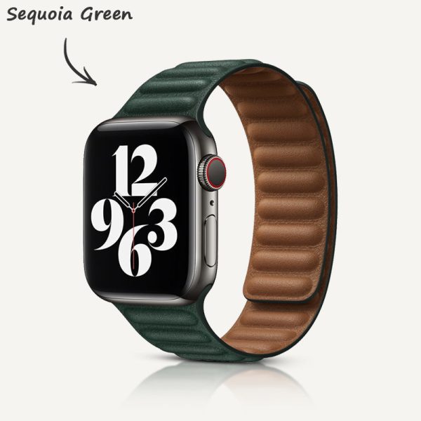Leather Link Magnetic Strap - 图片 14