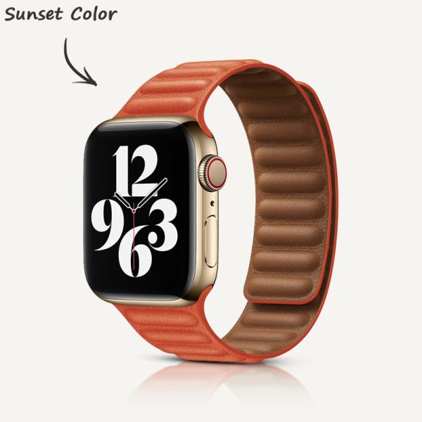 Leather Link Magnetic Strap - 图片 36
