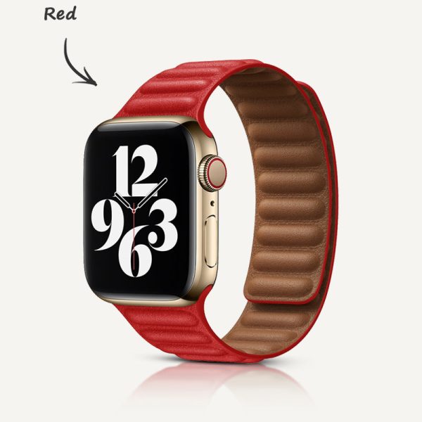 Leather Link Magnetic Strap - 图片 29