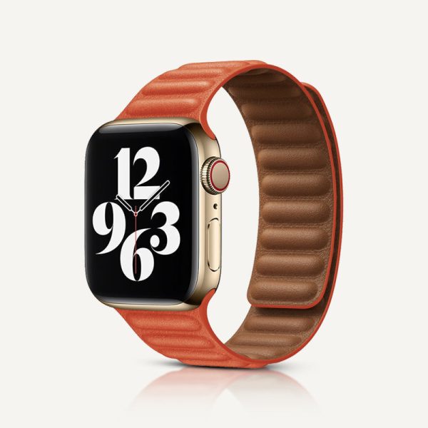 Leather Link Magnetic Strap - 图片 16
