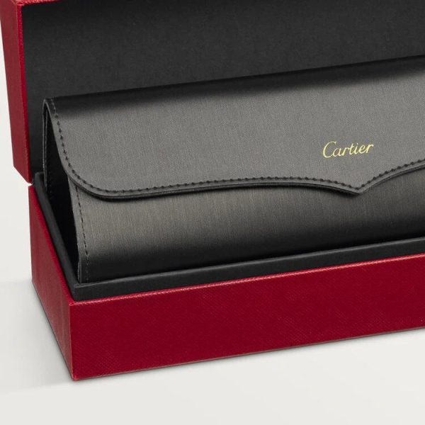 SANTOS DE ca SUNGLASSES - 图片 7