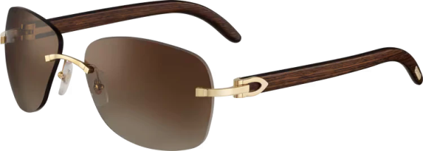 SIGNATURE C DE ca SUNGLASSES