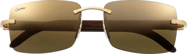 C DE ca SIGNATURE SUNGLASSES - 图片 2