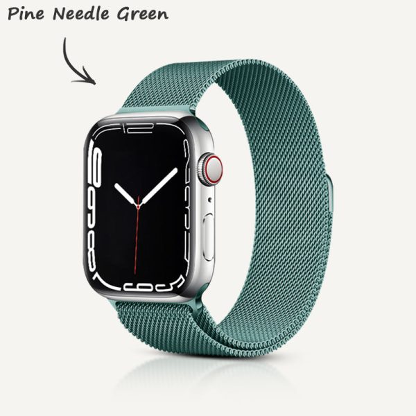 Stainless Steel Alloy Magnetic Strap - 图片 13