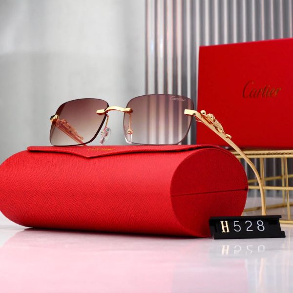 Golden Leopard Frame Sunglasses - 图片 6