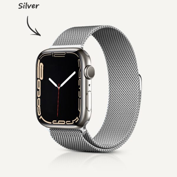 Stainless Steel Alloy Magnetic Strap - 图片 15