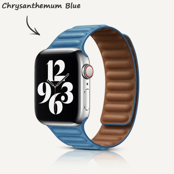 Leather Link Magnetic Strap - 图片 26