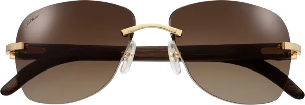SIGNATURE C DE ca SUNGLASSES - 图片 2