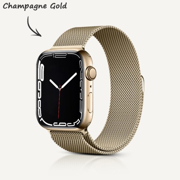 Stainless Steel Alloy Magnetic Strap - 图片 12
