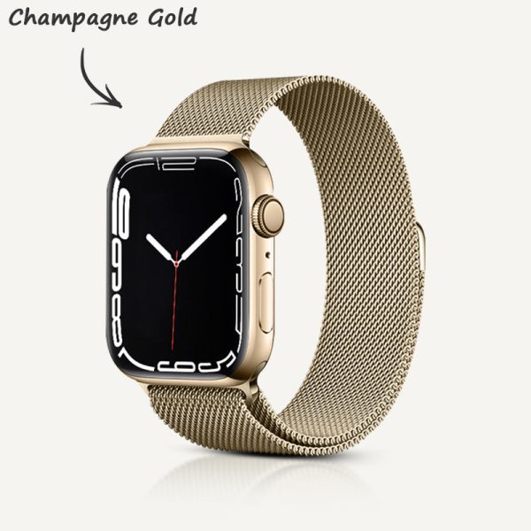 Stainless Steel Alloy Magnetic Strap - 图片 22