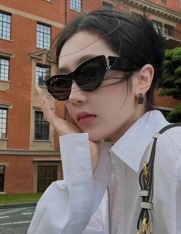 Fashionable new cat-eye sunglasses 6090 - 图片 7