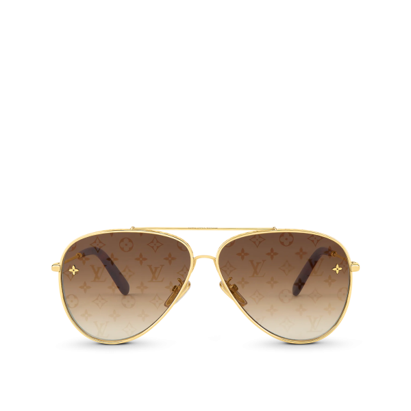 The Pilot Sunglasses - 图片 2