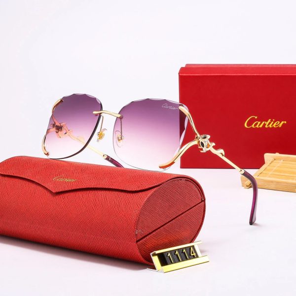 Fashion SUNGLASSES 1114 - 图片 16