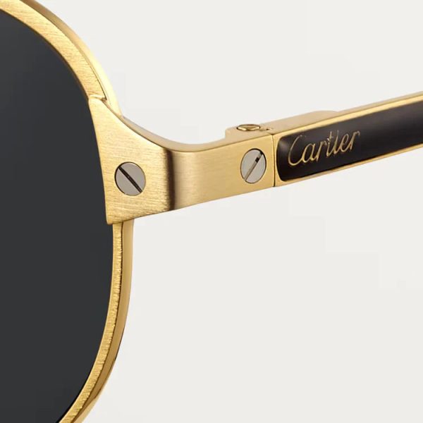 SANTOS DE ca SUNGLASSES - 图片 4