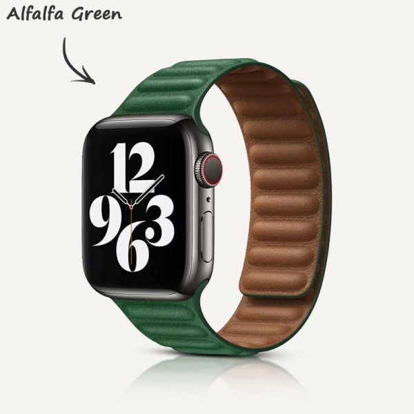 Leather Link Magnetic Strap - 图片 46