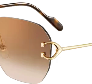 SIGNATURE C DE ca SUNGLASSES