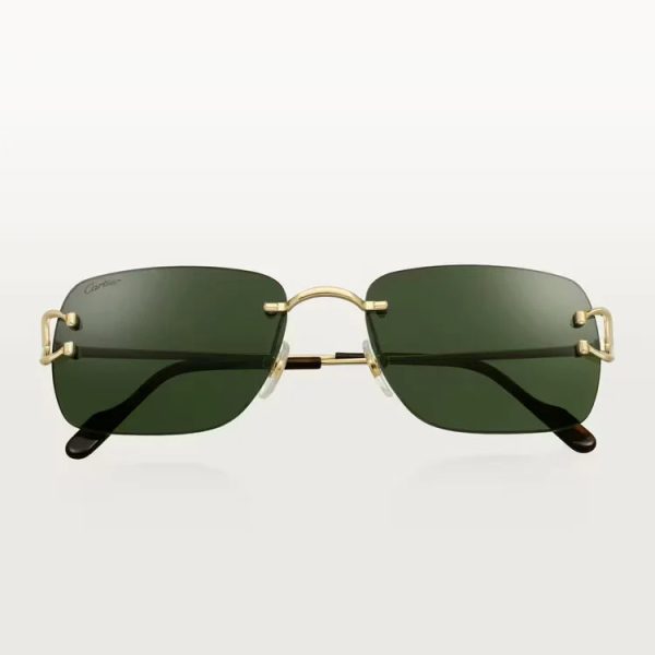 SIGNATURE C DE ca SUNGLASSES - 图片 2