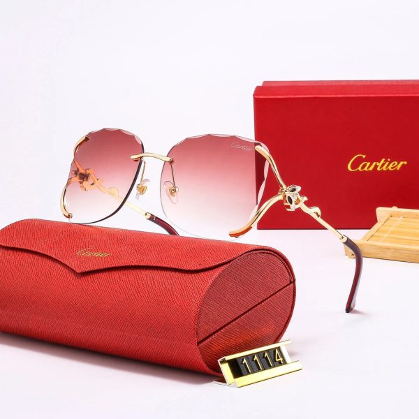 Fashion SUNGLASSES 1114 - 图片 7