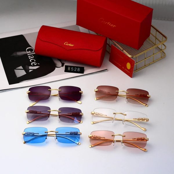 Golden Leopard Frame Sunglasses - 图片 13