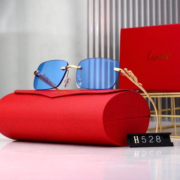 Golden Leopard Frame Sunglasses - 图片 9