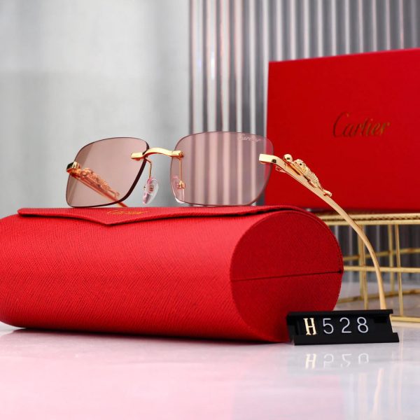 Golden Leopard Frame Sunglasses - 图片 7