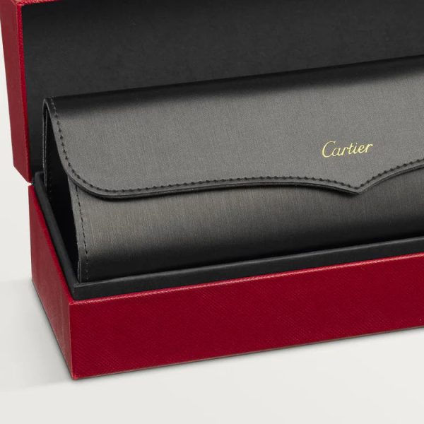 SANTOS DE ca SUNGLASSES - 图片 9