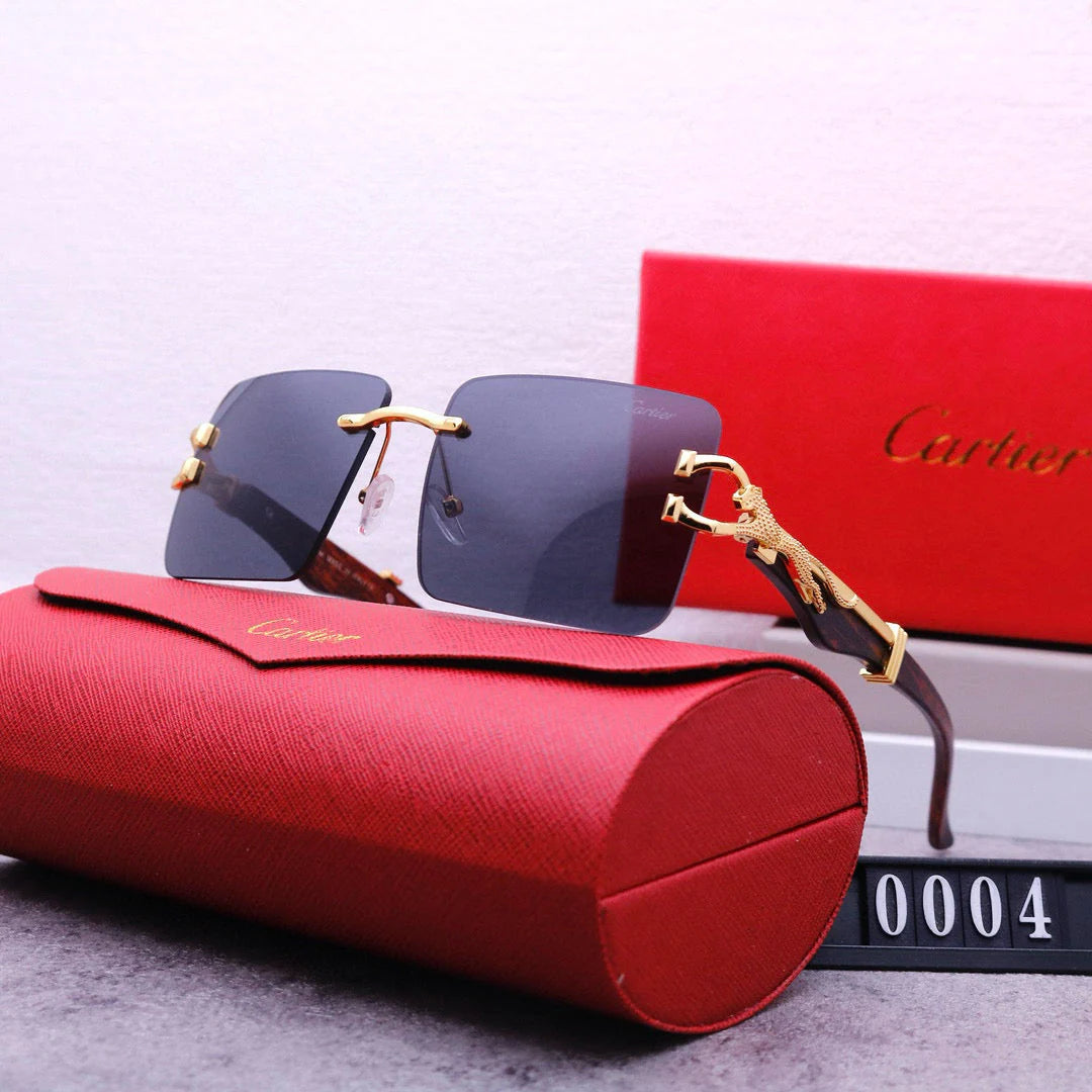 Fashion Sunglasses-CW-95800 - 图片 2