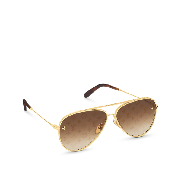 The Pilot Sunglasses