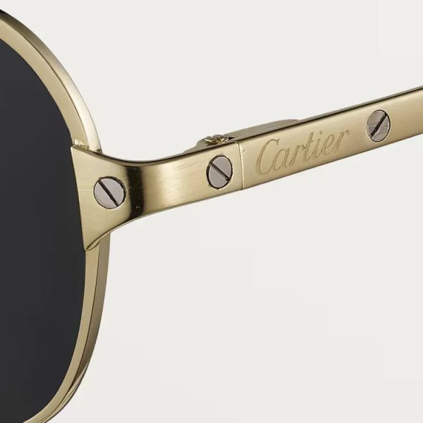 SANTOS DE ca SUNGLASSES - 图片 3