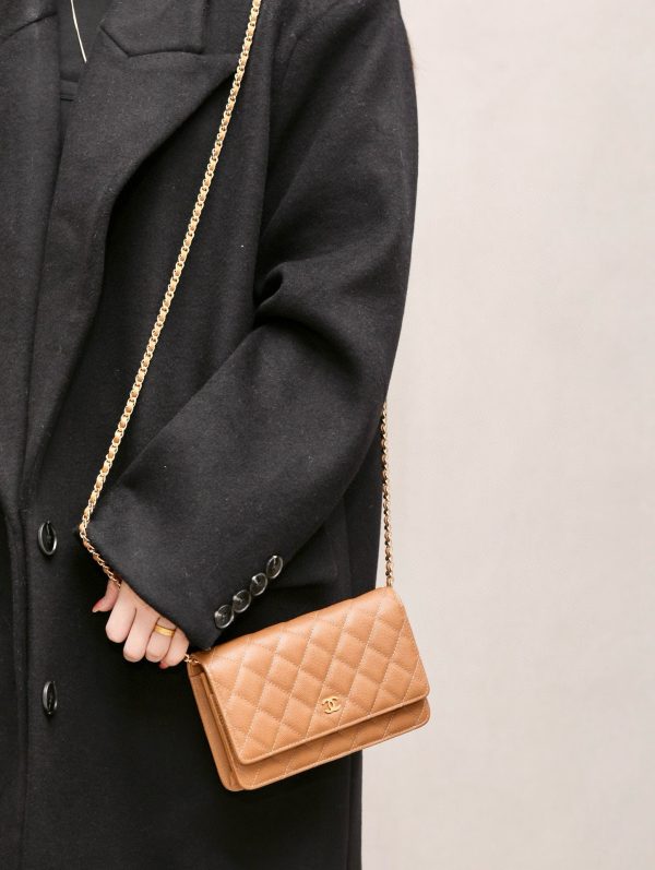 CC WOC BAG - 图片 24