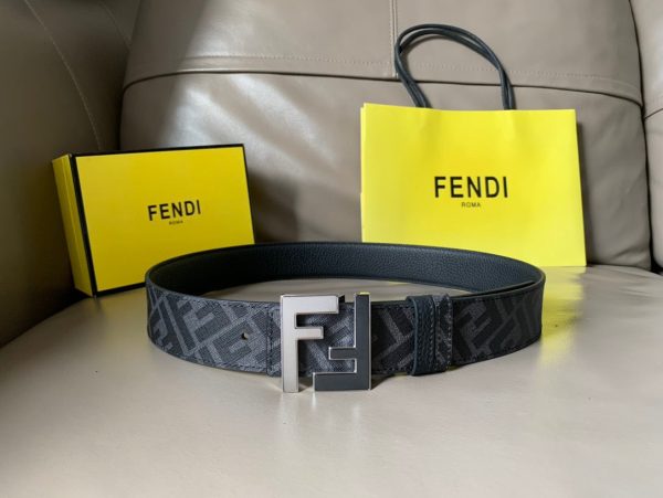 FEN BELT - 图片 8