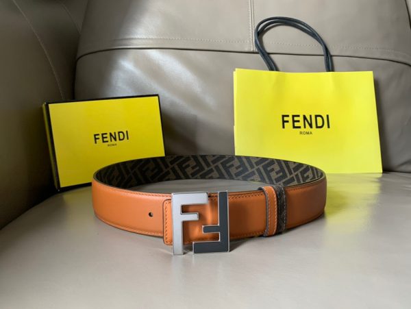 FEN BELT - 图片 5